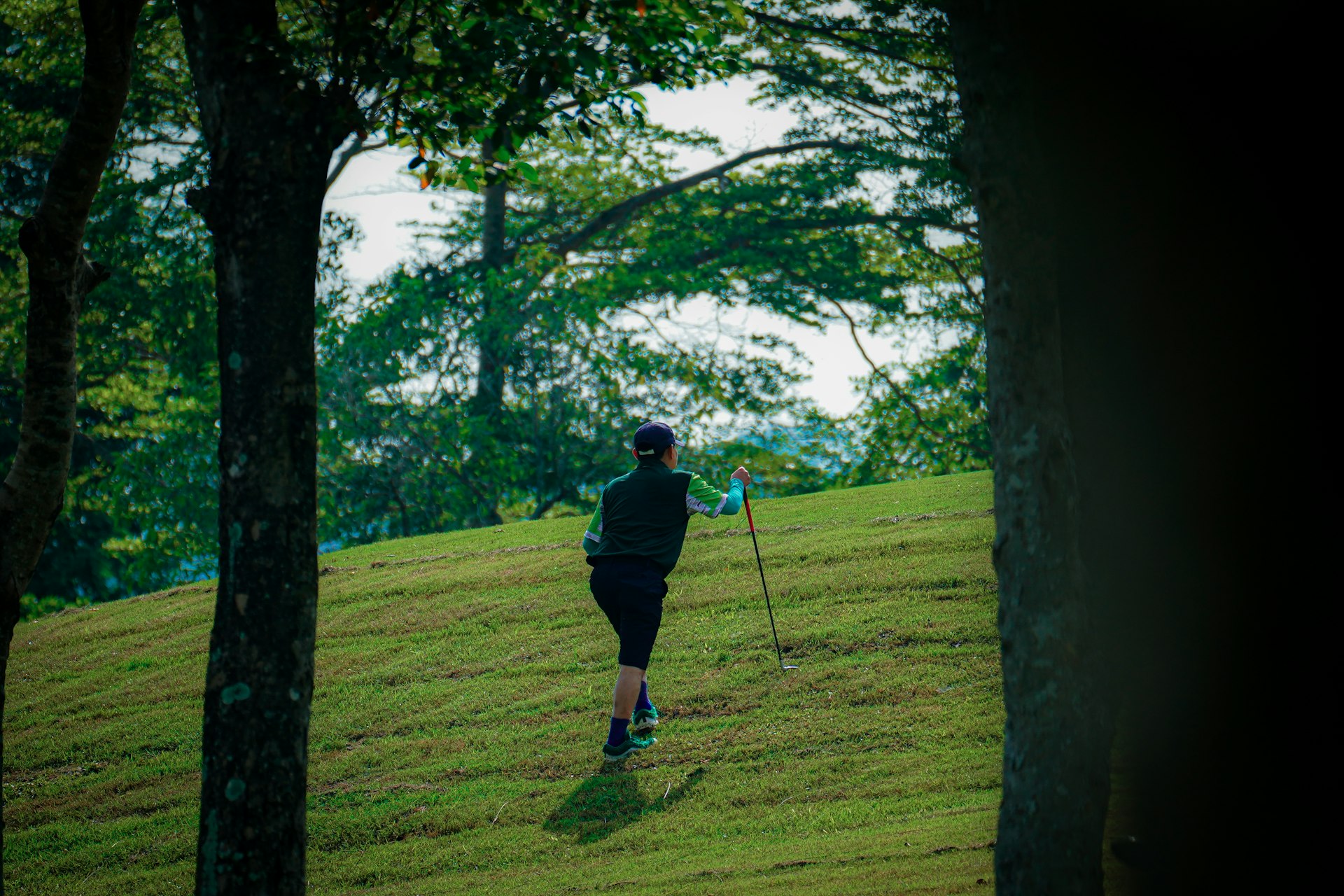 a person walking in the grass with a stick